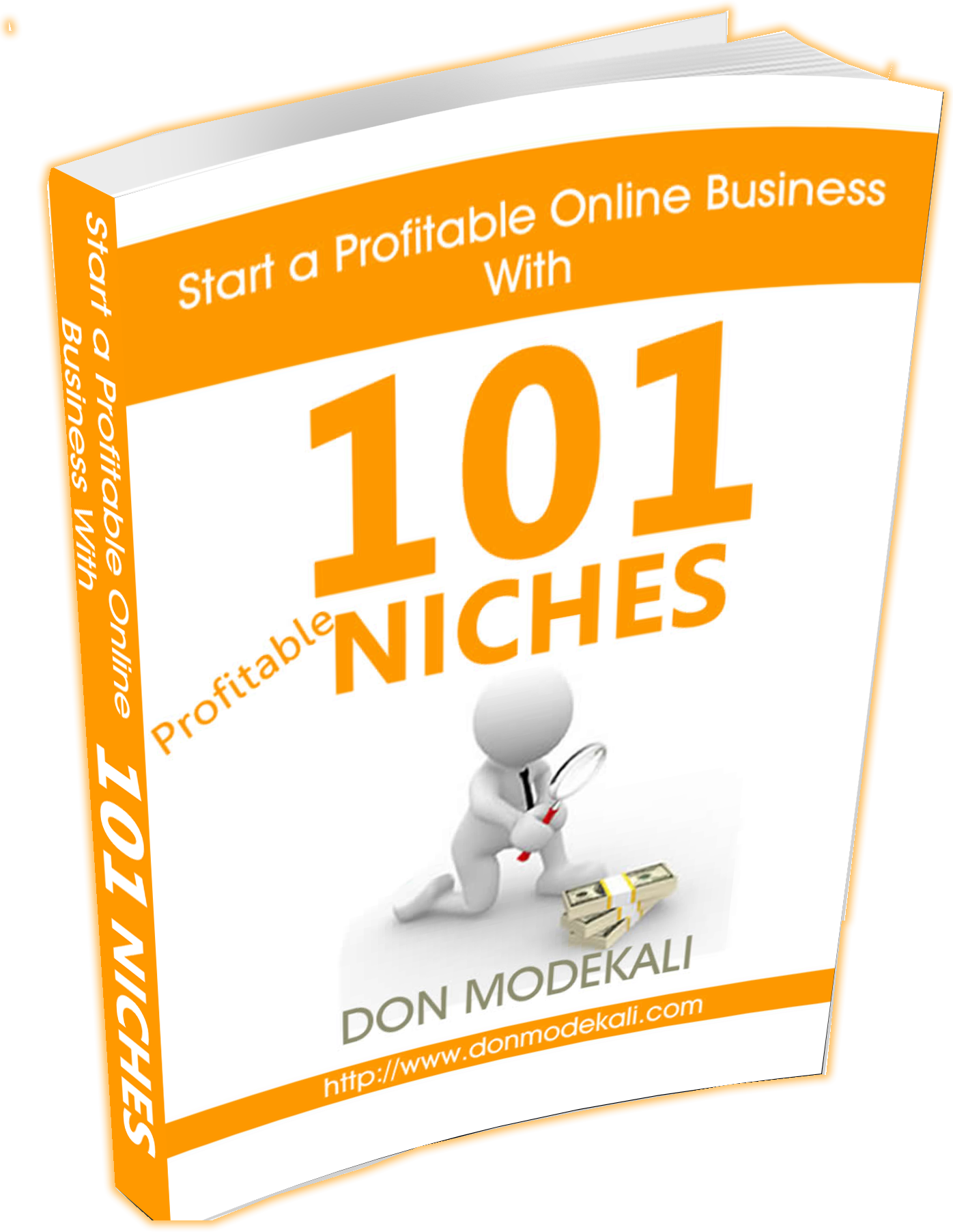 101 Niches Cover Page