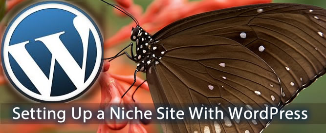 NSD Episode 3: Setting Up My Niche Website
