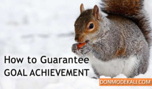 guarantee goal achievement